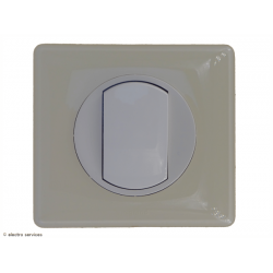 Poussoir ou poussoir inverseur Céliane Complet Ivoire - Avec griffes - CCI003G