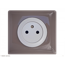 Prise de courant 2P+T Surface Céliane Complet Galet - Avec griffes - CCG010G