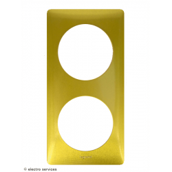 Plaque Céliane™ Métal 2 postes Legrand | Finition design Laiton