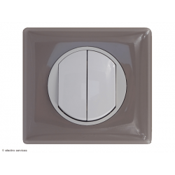 Double interrupteur ou Va-et-vient Céliane Complet Galet - Avec griffes - CCG005G