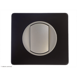 Poussoir ou poussoir inverseur Céliane Complet Basalte - Avec griffes - CCBA003G