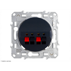 Prise haut-parleur Schneider Odace - 2 sorties - Anthracite - SCHS540488
