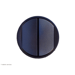 Enjoliveur large Céliane pour double interrupteur - Graphite - LEG67902