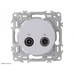 Prise TV / FM - sorties coaxiales Schneider Odace - Blanc craie - SCHS920451